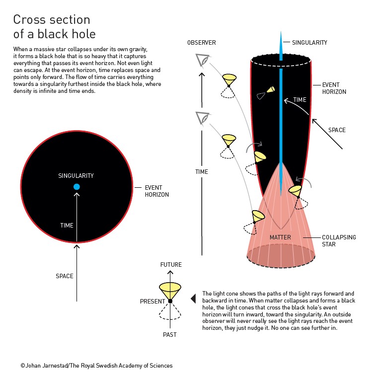 This illustration shows something very complicated, even partially beyond our comprehension. But this visual explanation is still among the more understandable in the genre, I claim. It is two views of a black hole in cross-section, based on physics laureate Roger Penrose's illustration of a black hole. Partly, I like it because I got a hold of the concept myself when I was drawing, and partly because Penrose's original illustrations are so excellent. Drawing on his beautiful concept was a professional highlight, as Mr Penrose is an outstanding illustrator. He still insists on drawing rich, explanatory pictures for his lectures with different colored felt-tip pens on the overhead. 